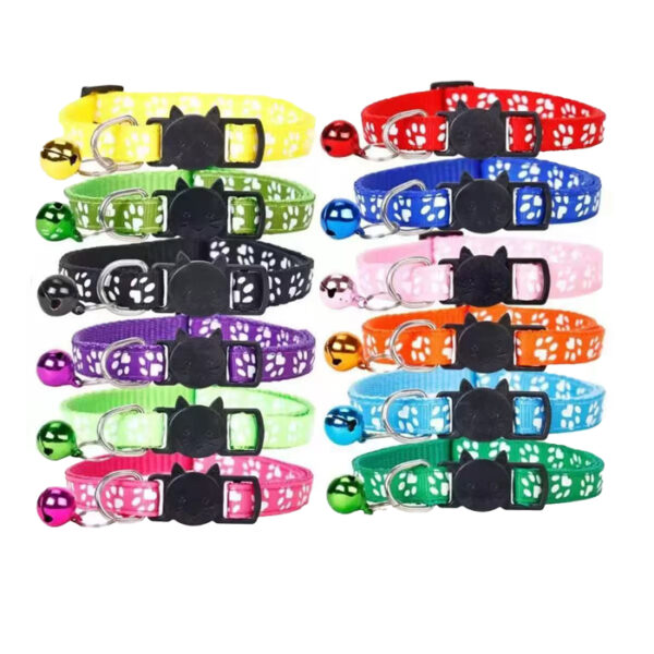 Collar de colores