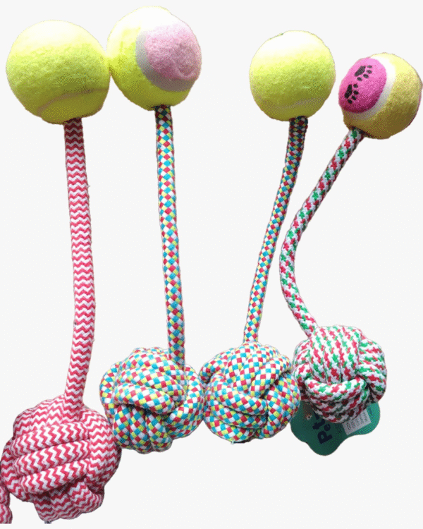 Pelota con soga